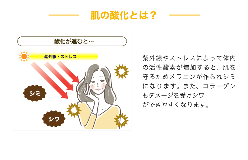 シミ・シワの原因である活性酸素リスクには、活性酸素を消去。酸化反応を抑制、酸化によるダメージを修復します。