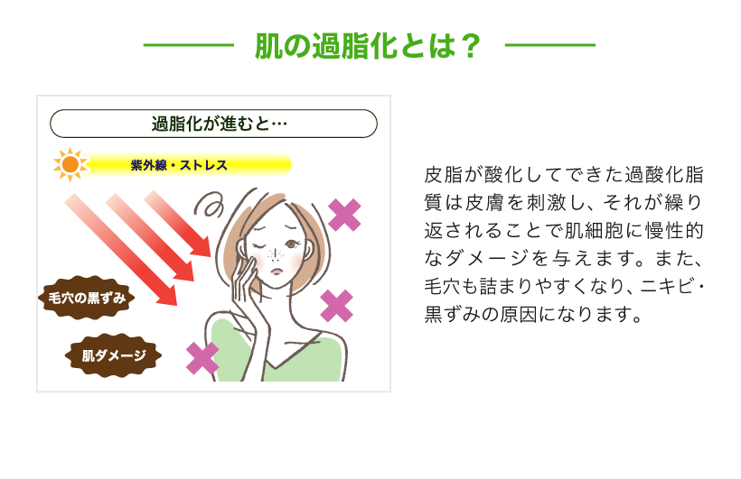 毛穴の黒ずみ・肌荒れの原因である過酸化脂質リスクには、脂質の酸化を抑え、炎症をブロック。コラーゲン生成も促進します。