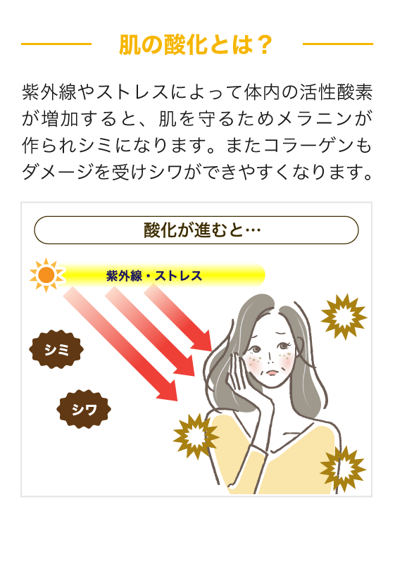 シミ・シワの原因である活性酸素リスクには、活性酸素を消去。酸化反応を抑制、酸化によるダメージを修復します。