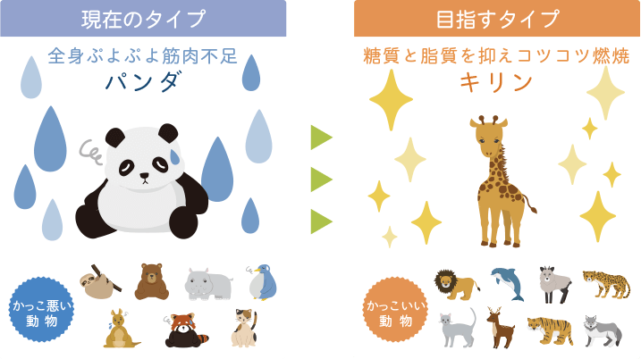 33パターンの結果で業界最多！かわいい動物であなたの体質をお知らせします。