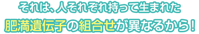 人によって持って生まれた肥満遺伝子の組合せは異なる！