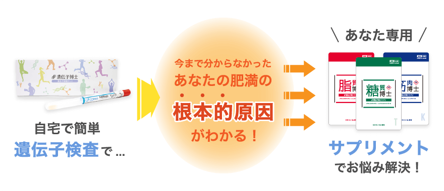 肥満遺伝子検査であなたの肥満の理由を解明するから、どのサプリメントが効果的かわかる仕組み！