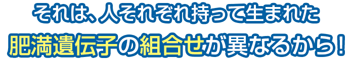 人によって持って生まれた肥満遺伝子の組合せは異なる！