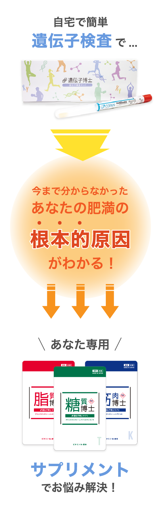 肥満遺伝子検査であなたの肥満の理由を解明！専用のダイエットサプリメントでお悩みを解決します。