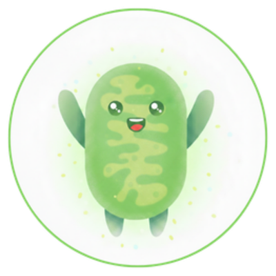 ウロリチンA