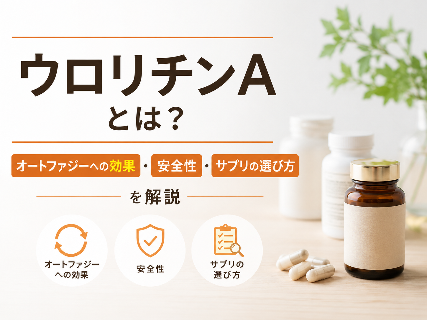 ウロリチンAとは？オートファジーへの効果・安全性・サプリの選び方を解説